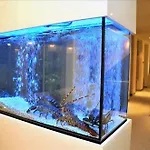 마르 브라부 3*